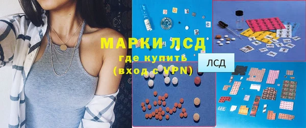 сатива Осташков
