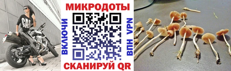 Псилоцибиновые грибы Psilocybine cubensis  наркота  Тотьма 